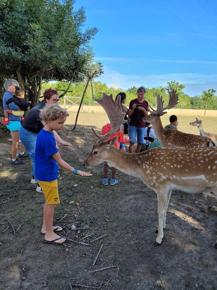Visite-a-la-ferme-de-la-guyonniere_56